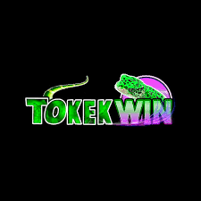 tokekwin - Majalah Digital APK